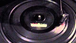 My Bucket&#39;s Got A Hole In It - Ricky Nelson (45 rpm)