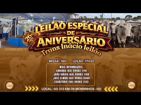 Leilão de Gado em MORRINHOS-GO, 29/03/2026  TransInácio Leilão - 17:00 Hs - Presencial e virtual.