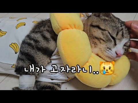 이제 작별이다. 땅콩