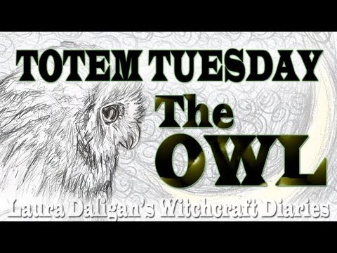 Totem Tuesday Week 15 - The Owl