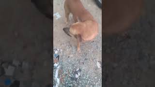 Download lagu kikilu mp3 Download lagu kikilu mp3