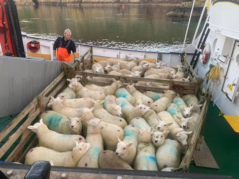 Fair Isle through a lens - Episode 35