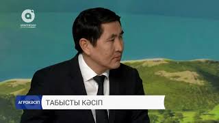 Табысты кәсіп