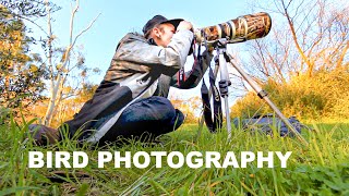 BIRD PHOTOGRAPHY | Photographing BIRDS in the Aussie hills. Kangaroos, musk and rainbow lorikeets