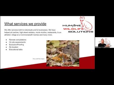 Humane Wildlife Solutions - a presentation by Kevin Newell to London Vegans
