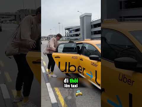 Chuyến Đi Của Chúng Tôi Bị Phá Hoàng Bởi Mấy Chú Cún 🥲