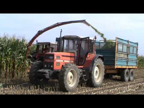 Landb. Geiregat - Landegem