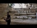 Wake me up-Avicii ft Aloe blacc (Cover by Mideul ...