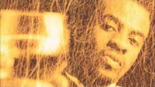 Maestro Fresh Wes- On The Jazz Tip