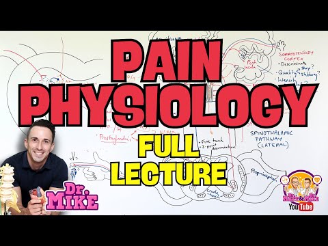 Pain Physiology | Nociception