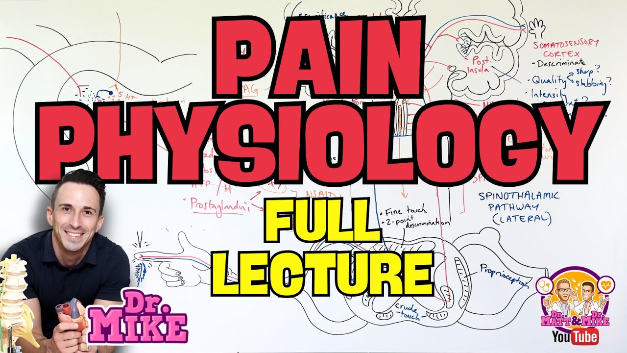 Pain Physiology | Nociception