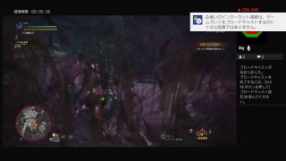 防具無しで上位のリオレイア亜種に挑戦二日目