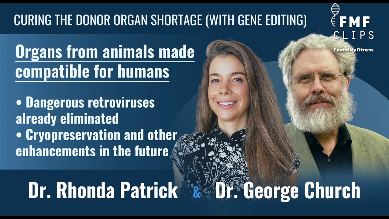 Curing the donor organ shortage with gene editing │ Dr. George Church