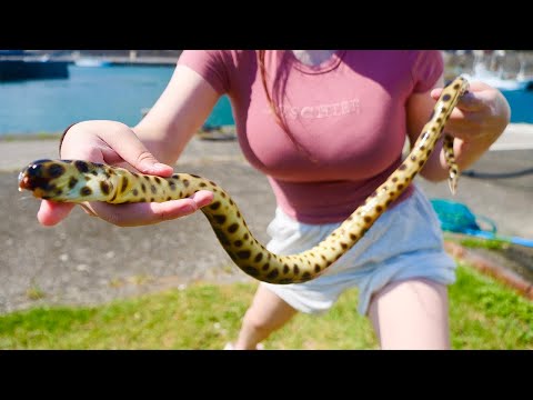 変なの釣れたから捌いて食べてみよう。