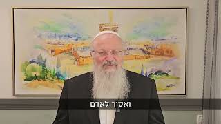 מהי דעת היהדות על מטרות המלחמה? | הרב שמואל אליהו | הלכה יומית | י״א אב תשפ״ה (הרב שמואל אליהו) - התמונה מוצגת ישירות מתוך אתר האינטרנט יוטיוב. זכויות היוצרים בתמונה שייכות ליוצרה. קישור קרדיט למקור התוכן נמצא בתוך דף הסרטון