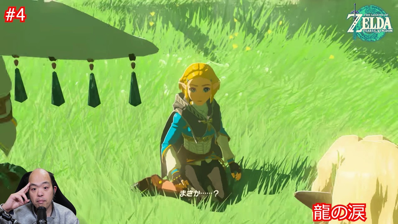 【ゼルダの伝説 ティアーズ オブ ザ キングダム】龍の涙が語る姫の記憶――地上絵の真実へ【#4】