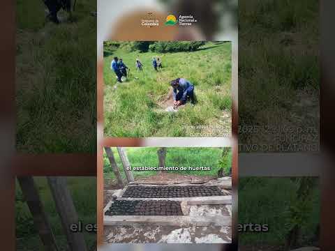 Así va la reforma agraria con la recuperación de tierras