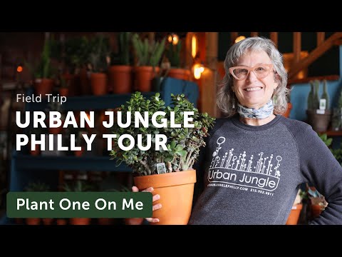 URBAN JUNGLE PHILLY Tour — Ep. 271