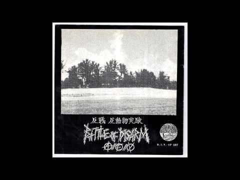Battle of Disarm - Fleas and Lice - Split 7"