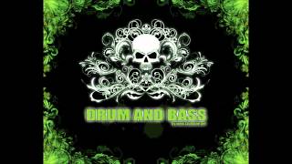 DJ Hype & MC Shabba D Skibadee Fearless Det @Innovation 2000