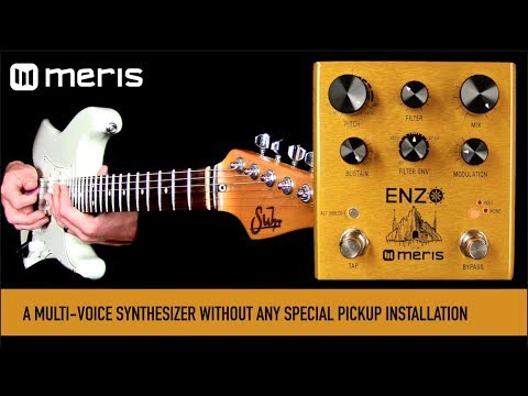 Meris Enzo 2018 - Gold image 2