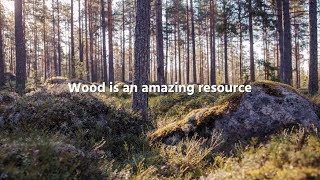 Volter - Power from wood