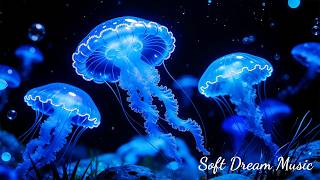 Jellyfish Aquarium • Healing Insomnia, Stress, Anxiety & Depression • MELATONIN RELEASE