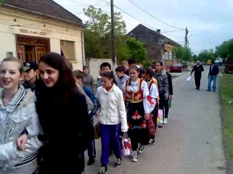 radimna kumaceanie 7