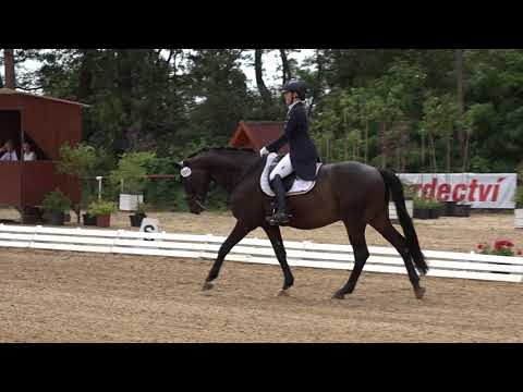Sophie Marlene Francz - SHOW MAN M - Freestyle Young Riders - CDI Brno 2018
