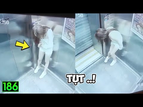 Hài Tin Việt 2025 Mới Nhất | Những Thằng Ngu Nhất Hành Tinh Cười Vỡ Bụng ( P186) ✔