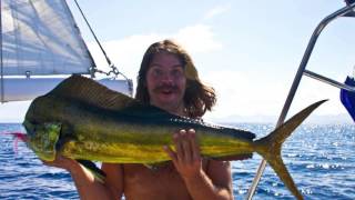 Quit Your Job and Sail Away to Paradise | Dwyer Haney | TEDxBucknellUniversity