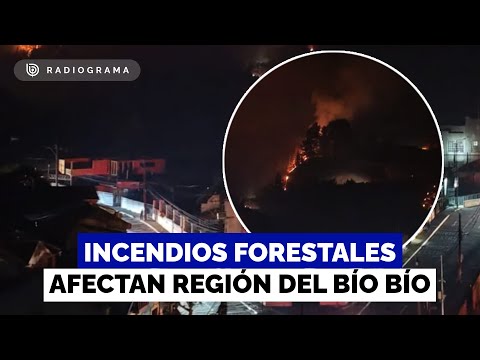 Sigue combate del fuego en Bío Bío: se reactiva foco en Tomé y noche más tranquila en Penco