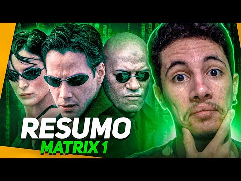 SUMMARY OF "MATRIX 1"