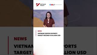 Vietnam coffee exports target record 8 billion USD | Vietnam Today