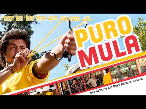PURO MULA - La película