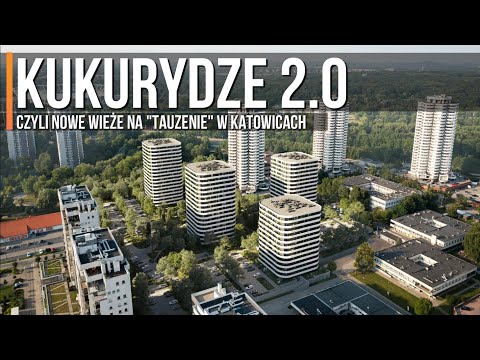 Kukurydze 2.0 na Osiedlu Tysiąclecia - Katowice