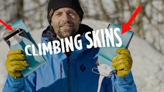 How To Use Climbing Skins When Ski Touring in the Backcountry