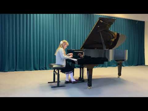 Dovilė Galdikaitė B.Berlin "Beždžionėlės medyje"