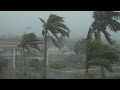 Thrashing Palm Trees Strong Winds And Torrential Rain Typhoon Dolphin 4K Stock Footage Screener