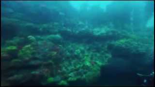 The Cathedral Dive -  ('Remember Me'- Josh Groban)