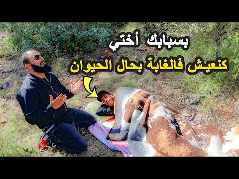 شاب مغربي يعيش بين الحيوانات المفترسة وسط غابات إسبانيا المخيفة والسبب صادم