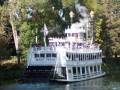 Disneyland Fun Times The Magical Place