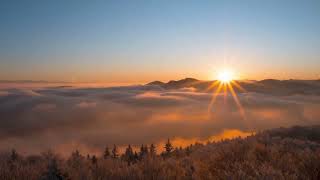 Download lagu Beautiful_Relaxing_Music_for_the_Heart_and_Blood_Vessels_🍃_Great_Healing_Music_for_the_Soul_#2025 mp3