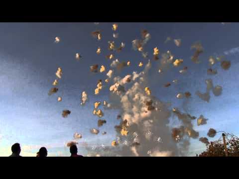 |HD| Adelfia 2014 | Some big italian shells