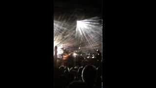 Grace Potter Sings Wild Horses