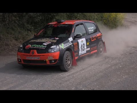 RALLY LIBURNA TERRA 2019 MORELLI LUPI RENAULT CLIO RS
