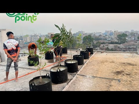 Geo Bag Review (Rasheduzzaman)