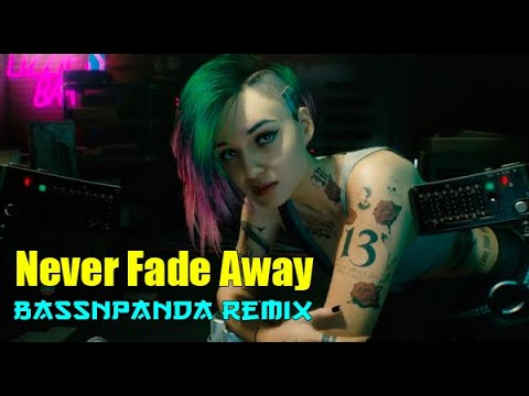Never Fade Away (BassnPanda Remix) by P.T. Adamczyk & Olga Jankowska