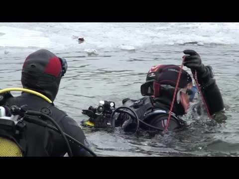 Élisabeth/Guillaume Sortie