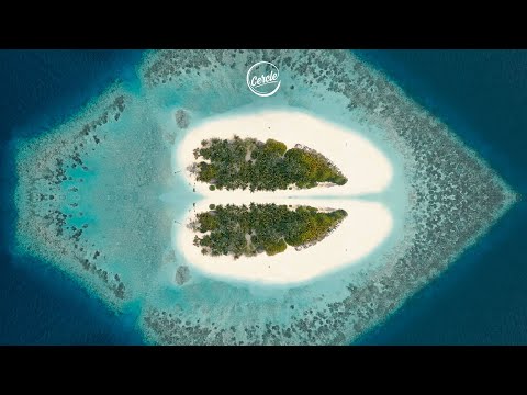 Monolink - Turning Away (Parra for Cuva Remix) (Visualizer)